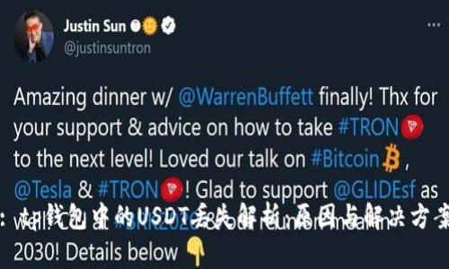 : tp钱包中的USDT丢失解析：原因与解决方案