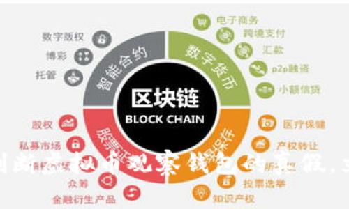 2025必看！如何判断虚拟币观察钱包的真假，立即防止财务损失