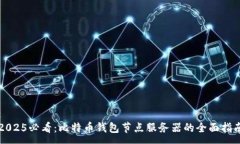 :2025必看：比特币钱包节点服务器的全面指南