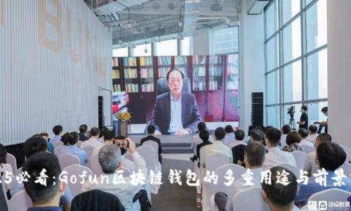 2025必看：Gofun区块链钱包的多重用途与前景分析
