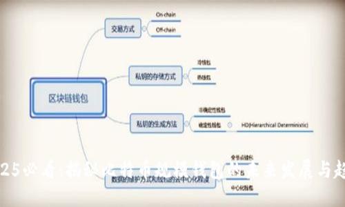 2025必看：揭秘比特币规模钱包的未来发展与趋势