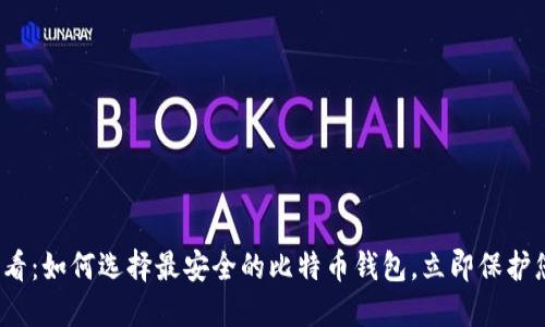 2025必看：如何选择最安全的比特币钱包，立即保护您的资产