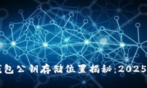 区块链钱包公钥存储位置揭秘：2025必看指南