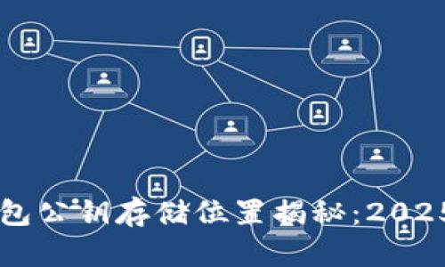 区块链钱包公钥存储位置揭秘：2025必看指南