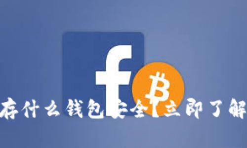 2025必看：比特币存什么钱包安全？立即了解最安全的钱包选择