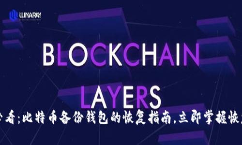 2025必看：比特币备份钱包的恢复指南，立即掌握恢复技巧！