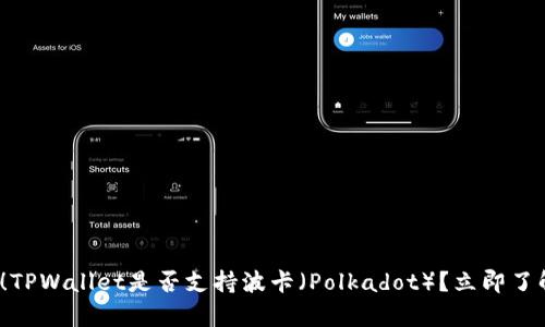 2025必看！TPWallet是否支持波卡（Polkadot）？立即了解详细解析