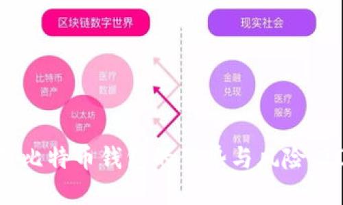 立即了解只用比特币钱包的优势与风险：2025必看指南