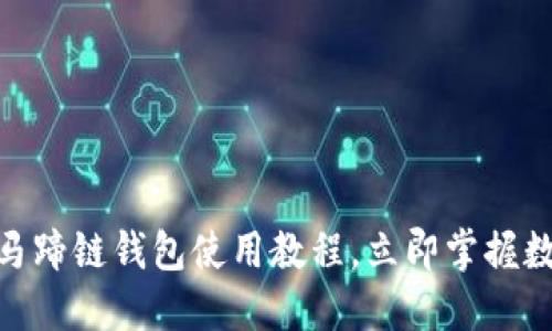2023必看！TP马蹄链钱包使用教程，立即掌握数字币管理技巧