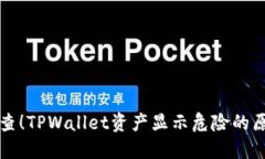 ### 立即检查！TPWallet资产显示危险的原因与解决