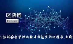 2025必看：如何安全管理比特币钱包里的比特币，