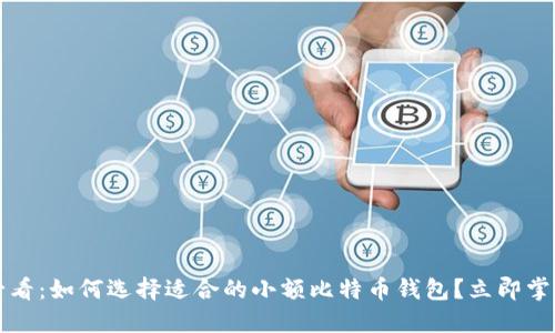 2025必看：如何选择适合的小额比特币钱包？立即掌握技巧！