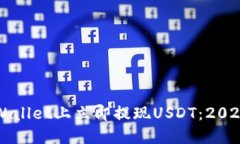 如何在TPWallet上立即提现USDT：2025必看指南