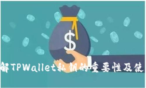 立即了解TPWallet私钥的重要性及使用技巧！