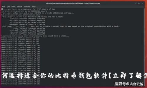 2025必看：如何选择适合你的比特币钱包软件？立即了解你的安全选择！