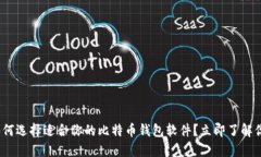 2025必看：如何选择适合你的比特币钱包软件？立