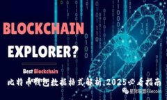 比特币钱包数据格式解析：2025必看指南
