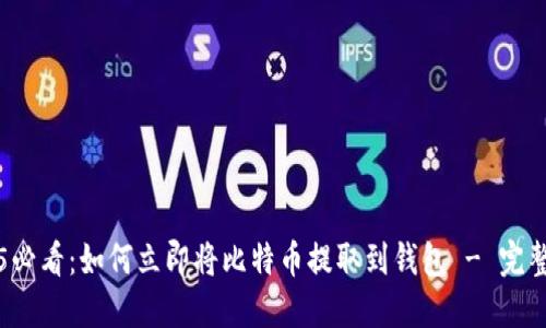 2025必看：如何立即将比特币提取到钱包 - 完整指南