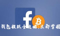 2023年区块链钱包提现全攻略：立即掌握安全提款