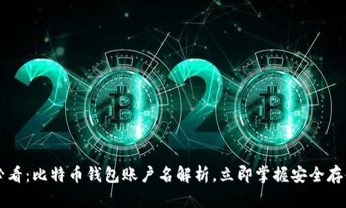 2025必看：比特币钱包账户名解析，立即掌握安全存储方法!