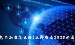 比特币钱包不加载怎么办？立即查看2025必看解决