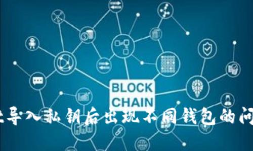 如何解决TPWallet导入私钥后出现不同钱包的问题：2025必看技巧