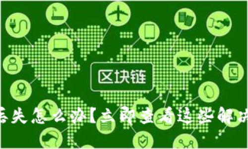 TPWallet币丢失怎么办？立即查看这些解决方案与技巧！