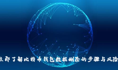 立即了解比特币钱包数据删除的步骤与风险！