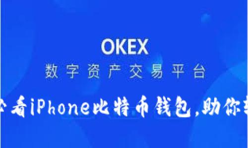 立即下载！2025必看iPhone比特币钱包，助你轻松管理数字资产