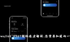 tpwallet USDT转账速度解析：您需要知道的一切
