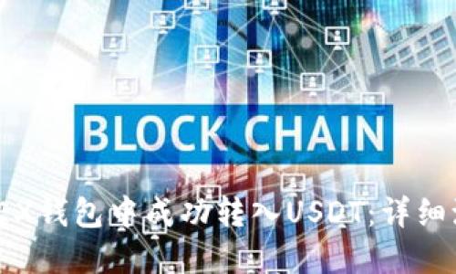 : 如何在TEX钱包中成功转入USDT：详细流程与技巧