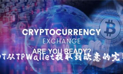 : USDT从TPWallet提取到欧意的完整指南