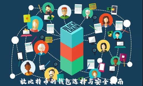 
放比特币的钱包选择与安全指南