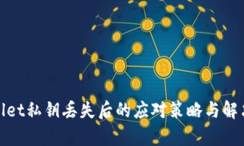 tpwallet私钥丢失后的应对策略与解决方案