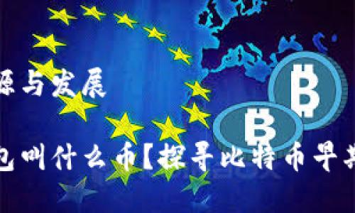 比特币钱包的起源与发展 

最初的比特币钱包叫什么币？探寻比特币早期交易与技术背景