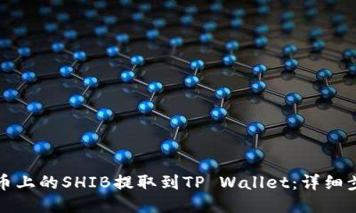如何将火币上的SHIB提取到TP Wallet：详细步骤与技巧