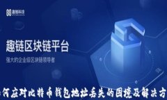 如何应对比特币钱包地址丢失的困境及解决方案