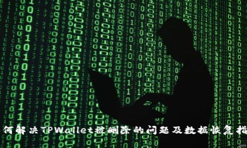 如何解决TPWallet被删除的问题及数据恢复指南