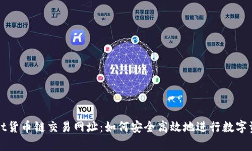 tpwallet货币链交易网址：如何安全高效地进行数字资产交易