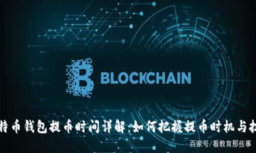 比特币钱包提币时间详解：如何把握提币时机与技巧