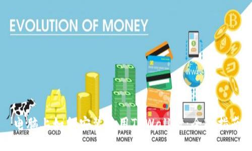 电脑上如何安装使用TPWallet：全面指南